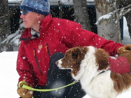ski patrol doggie